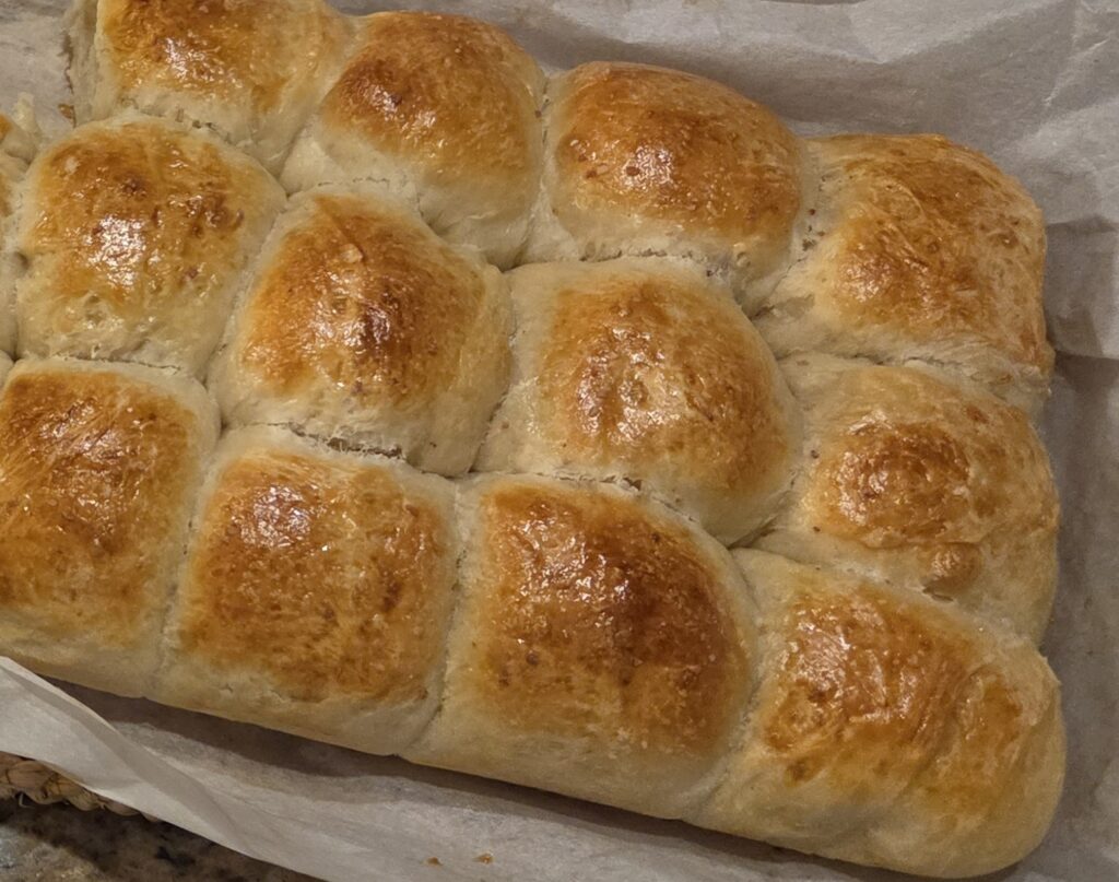 20251117 2230012 E1771293516792 1024x807