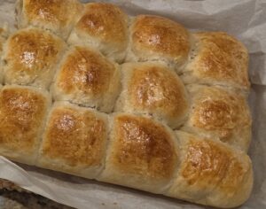 20251117 2230012 E1771293516792 300x236