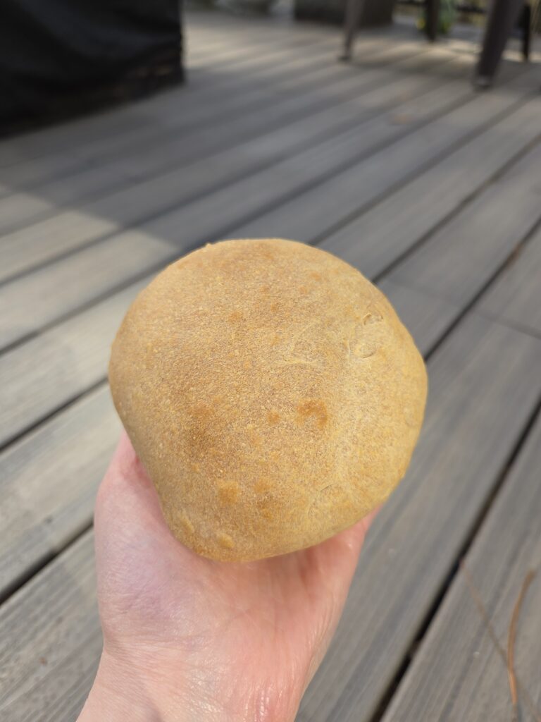 20260112 122906 768x1024